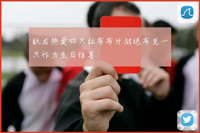 狄龙热爱四只拉布布计划送布克一只作为生日惊喜