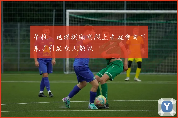 早报：这棵树刚刚爬上去就匆匆下来了引发众人热议