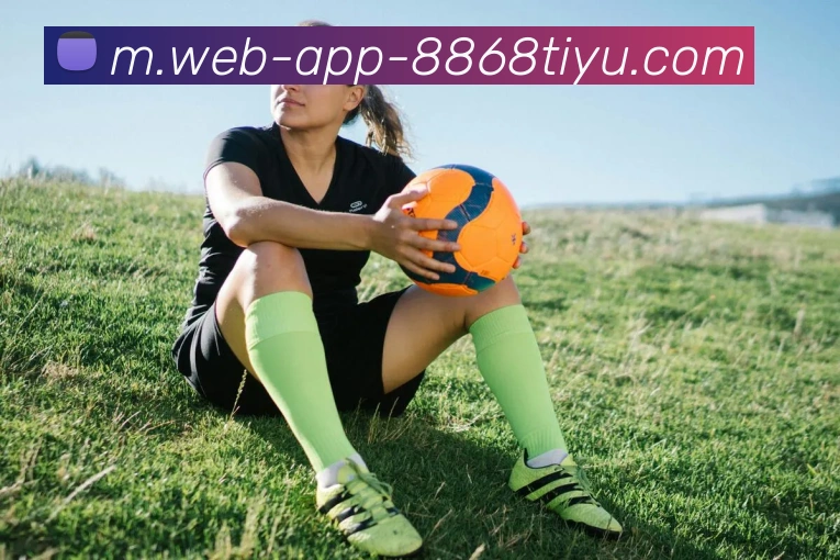 8868体育平台生态图